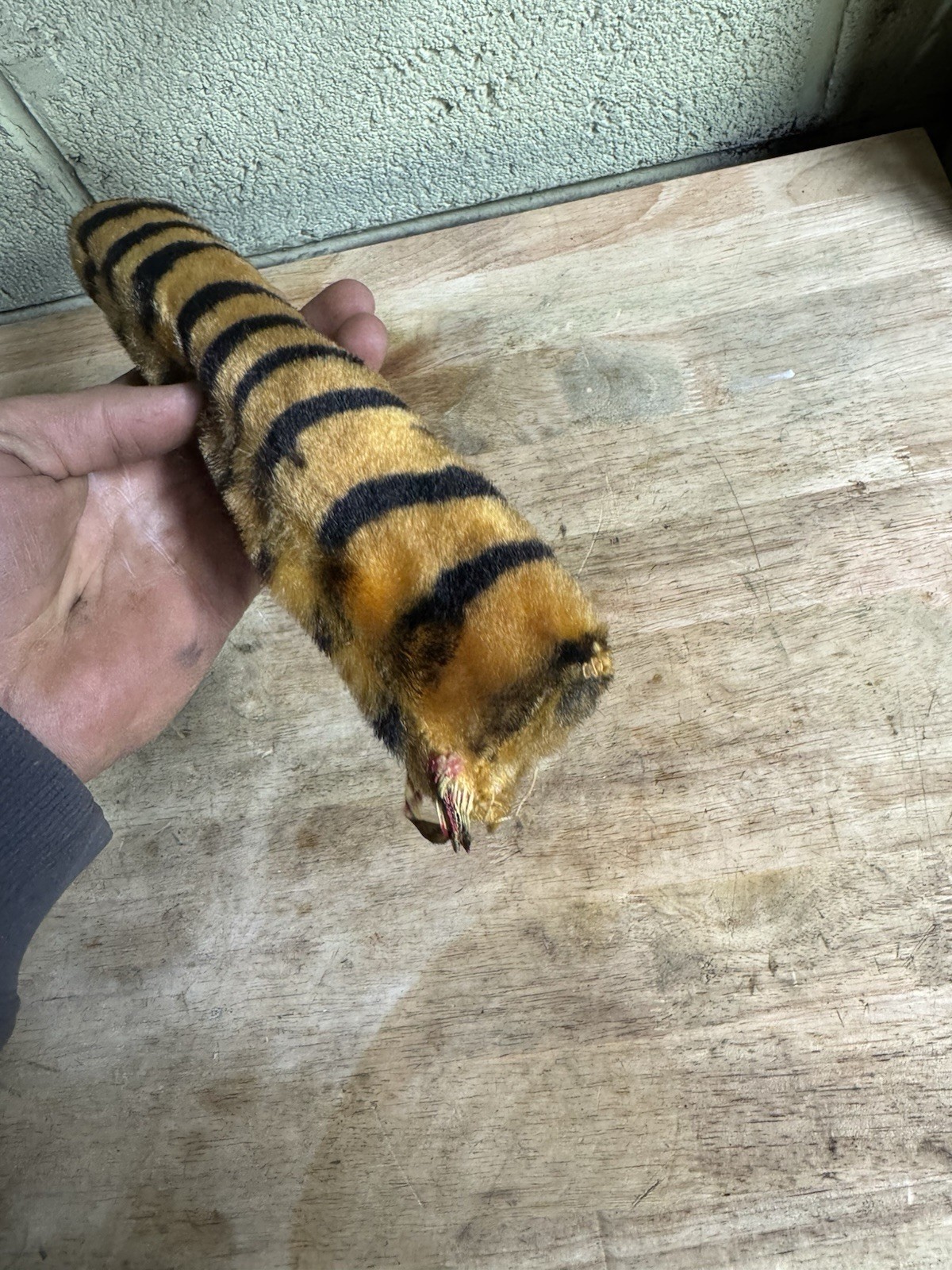 ORG RARE ESSO EXXON MIRROR HANGING TIGER TAIL~TIGER IN YOUR TANK!!! 9" Vintage