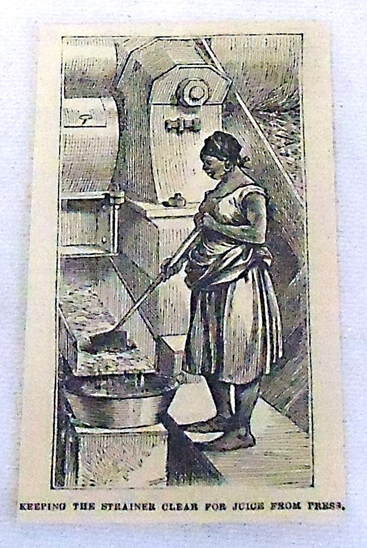 1878 small magazine engraving ~ KEEPING THE STRAINER CLEAR FOR JUICE