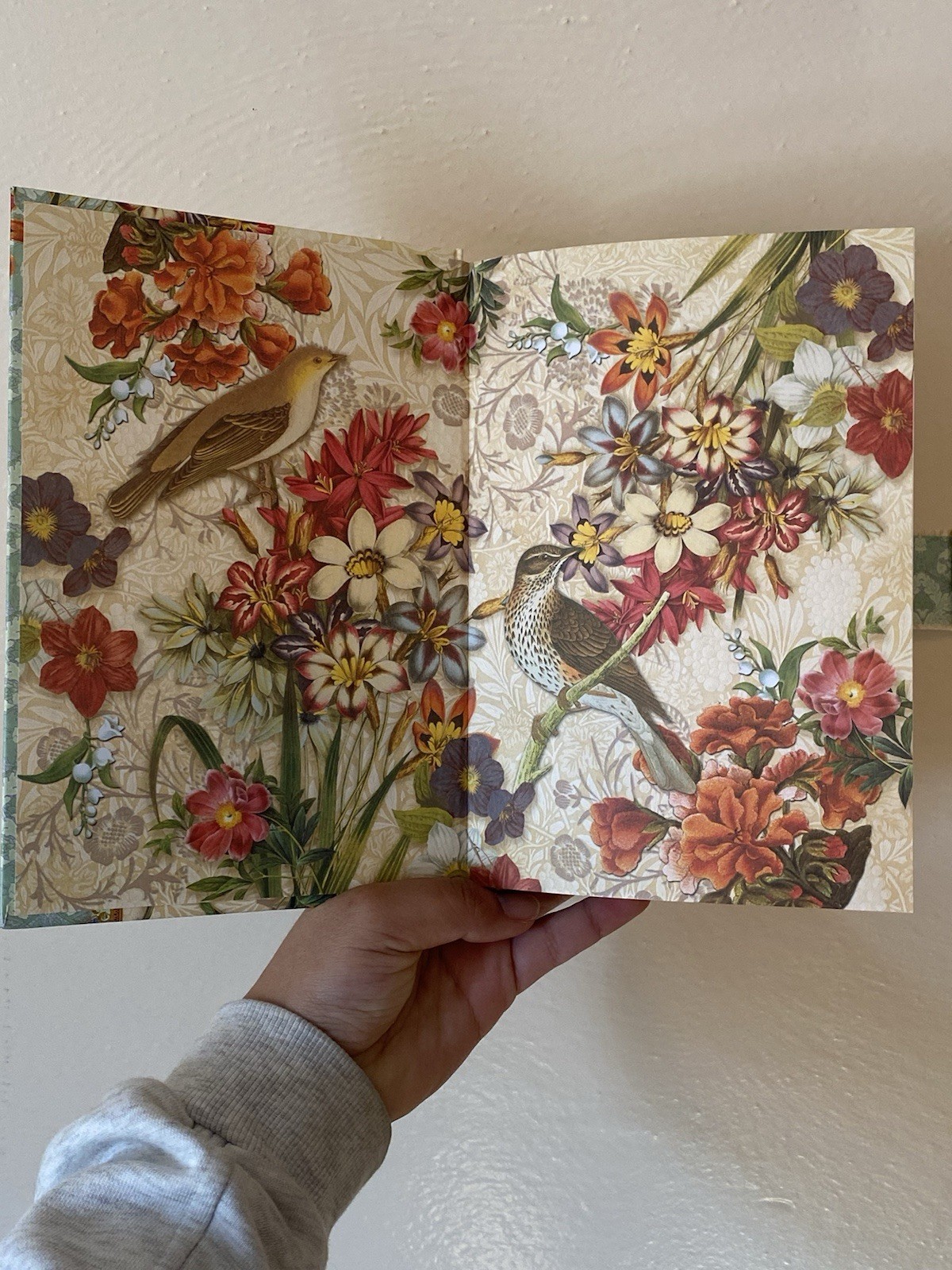 Punch Studio Boutique Brooch Journal Bluethroat Bird & Postcards Diary Notebook