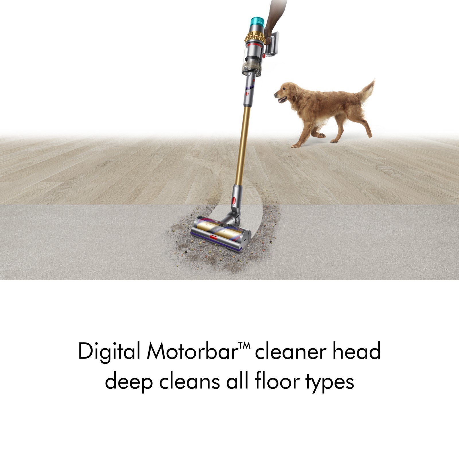 Dyson V15 Detect Absolute Cordless Vacuum | Iron/Gold | Refurbished