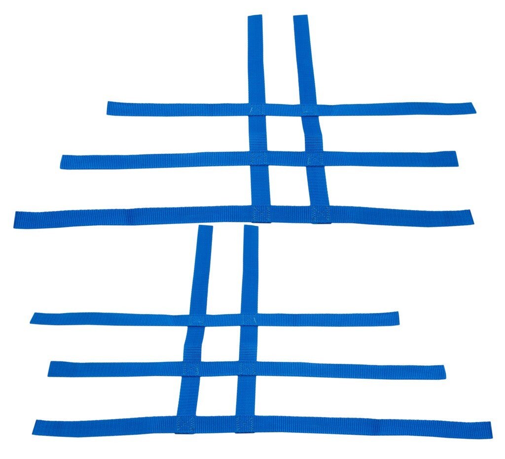 Raptor 250 125  Nerf Bar Nets  Fit Alba Pro Peg nerf bars  Racing blue  C
