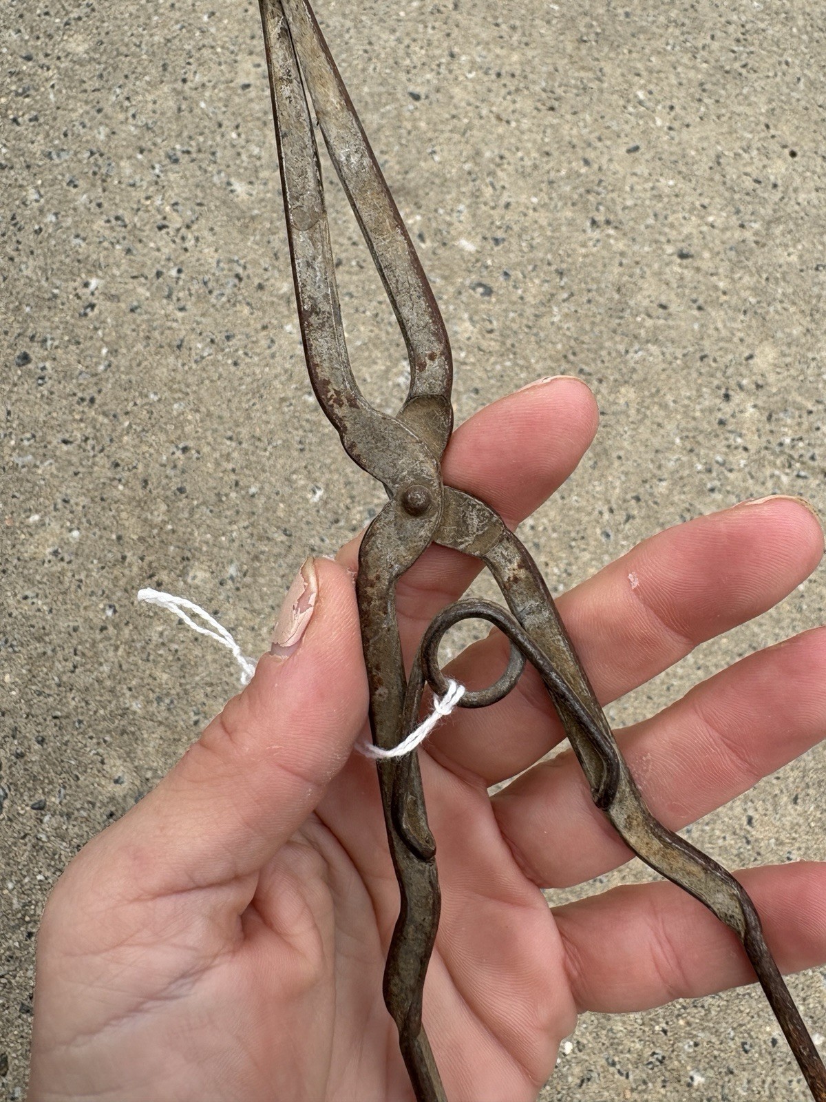 Antique Primitive Crucible Tong Lab Tool Vintage Science Pinchers Rustic Decor