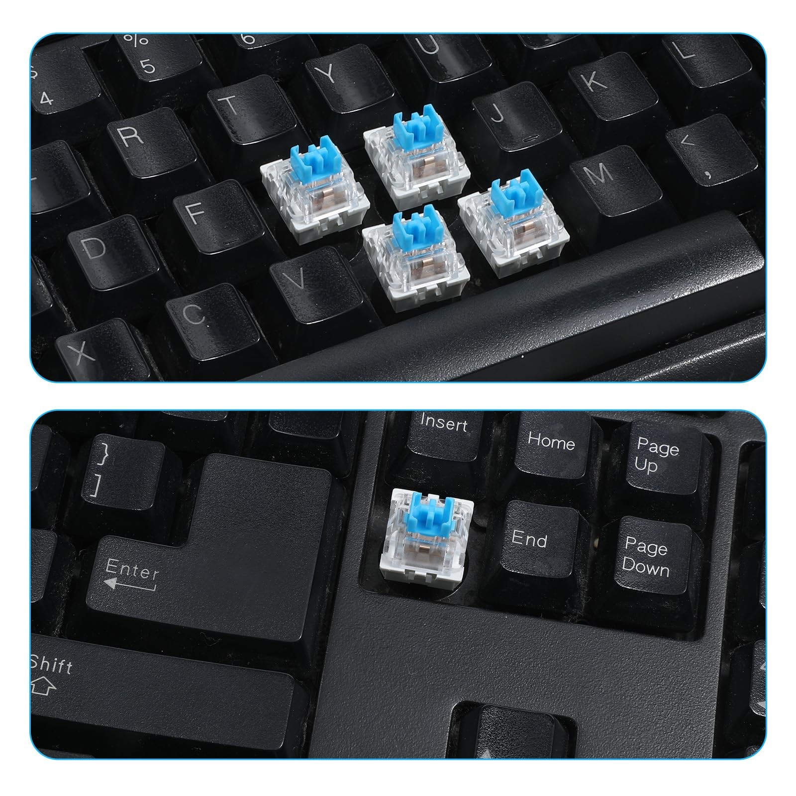 Keyboard Switches, 50 Pcs 3 PIN Blue Keyboard Clicker Dustproof Mechanical Ke