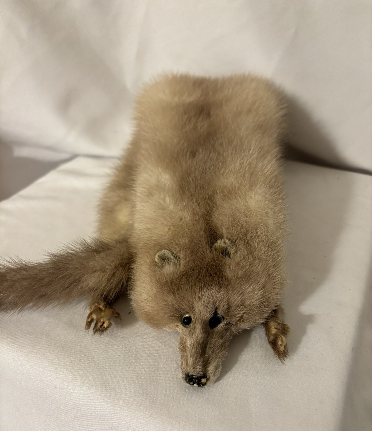 Vintage Mink Fur Whole Body Pelt Stole Collar Wrap ~Total length 25.5 inches