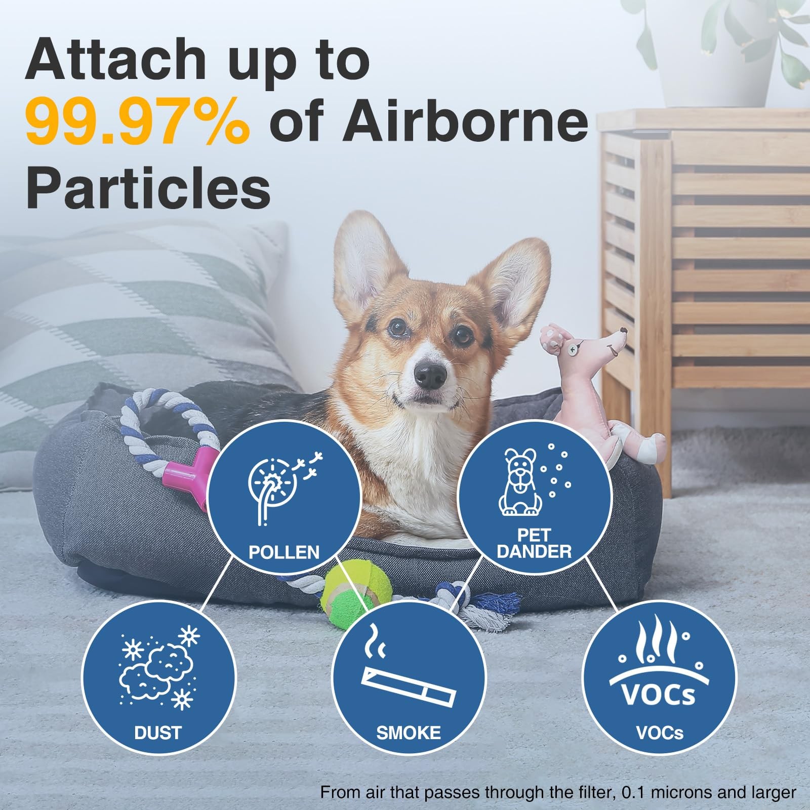 HPA300 HEPA Filter Replacement R for Honeywell Air Purifier HPA300 HPA200 HPA090