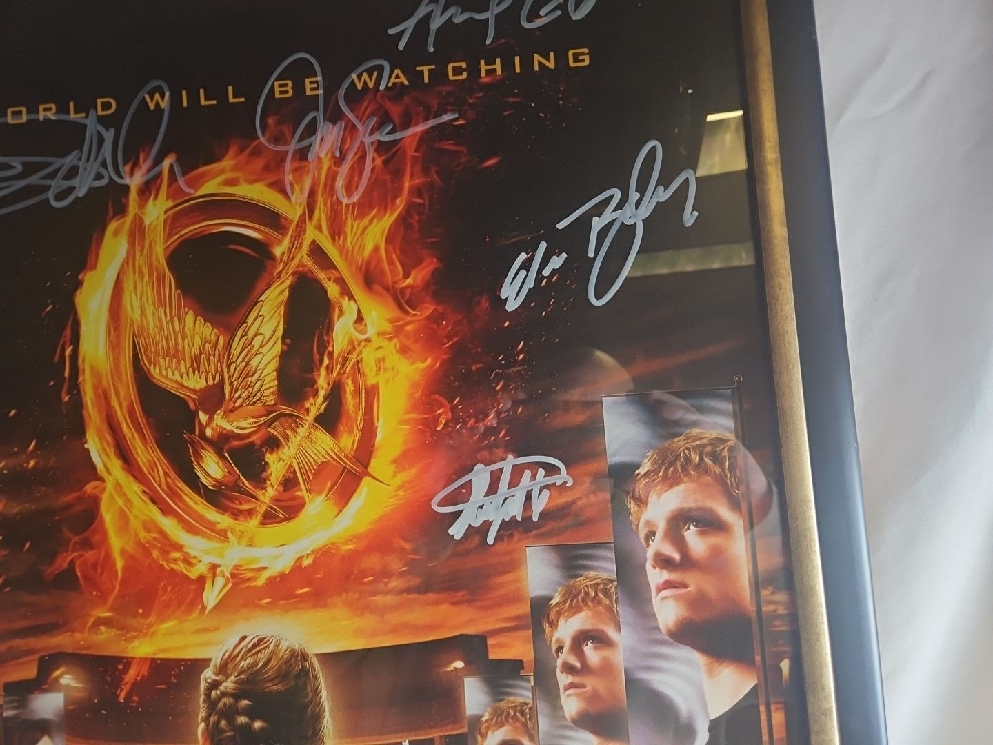 2012 NECA LIONSGATE THE HUNGER GAMES MOVIE ARENA POSTER 22x34 Signed By CAST!!