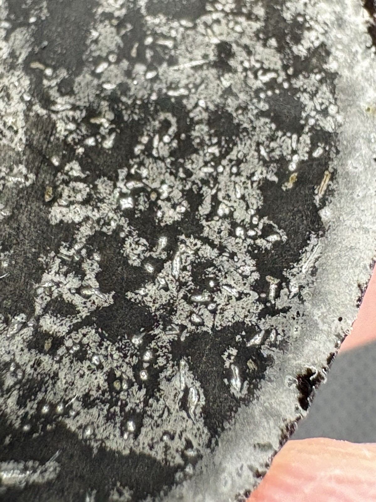 8.0g NWA 17095 IAB-sLH iron meteorite full slice- rare subtype weird features!