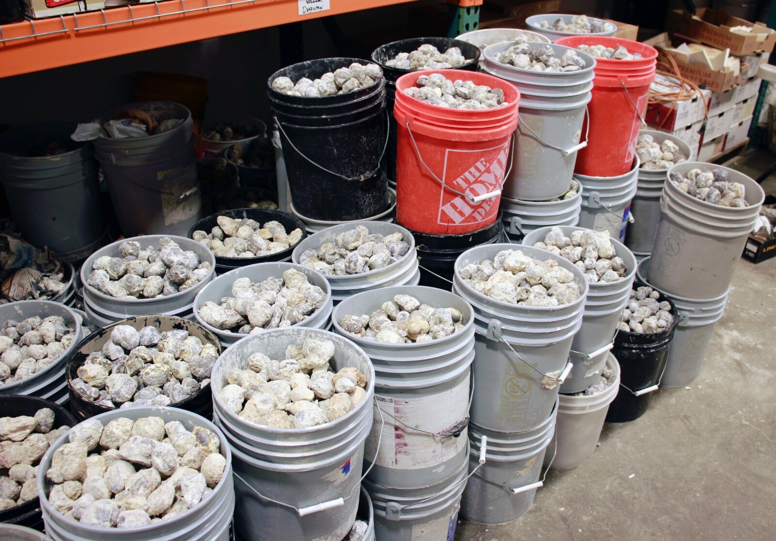 One Pound, 5-7 Whole Dugway Geodes • 1.5" - 2.0" diam.