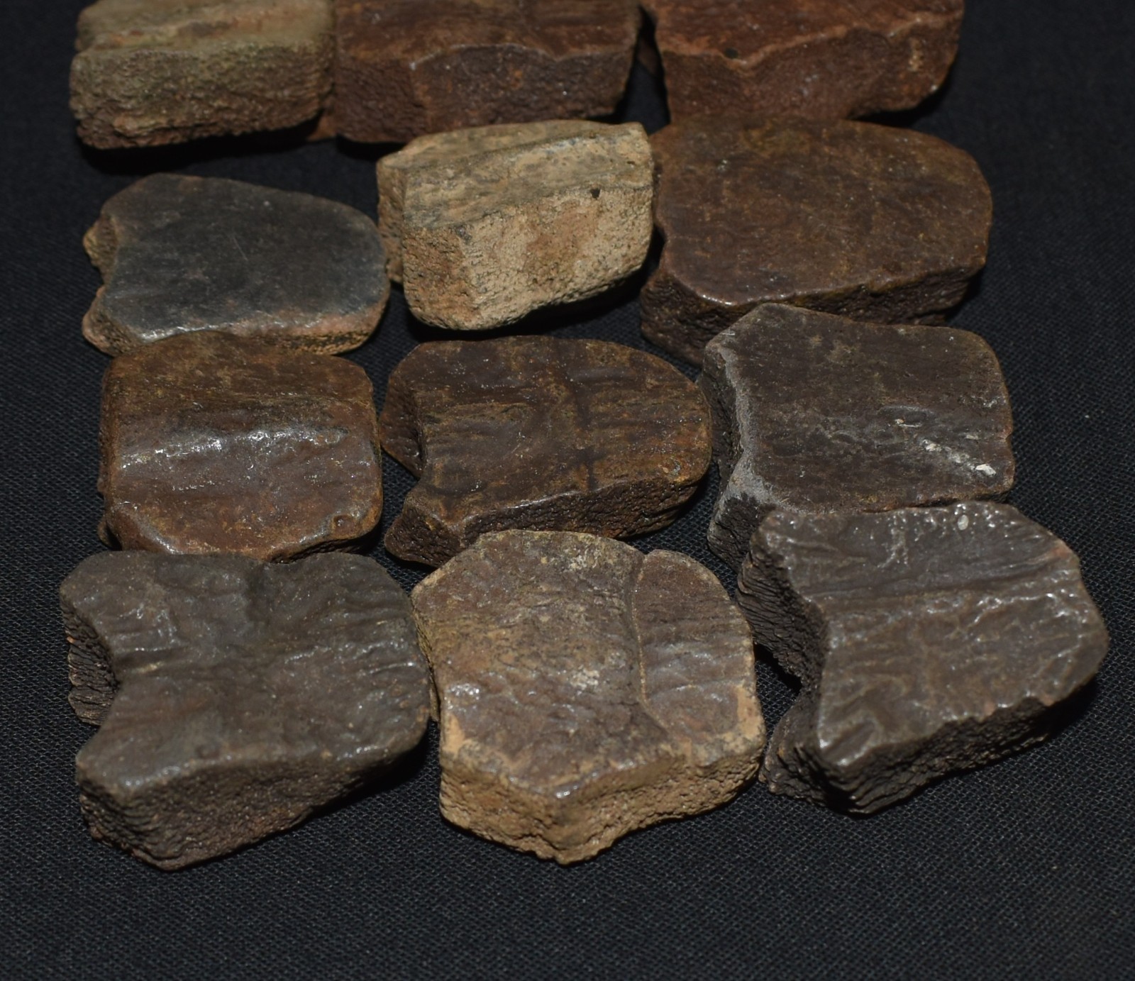 Set of Fifteen Fossil Turtle Shell Elements (top shell pieces) - Turtle Fossils