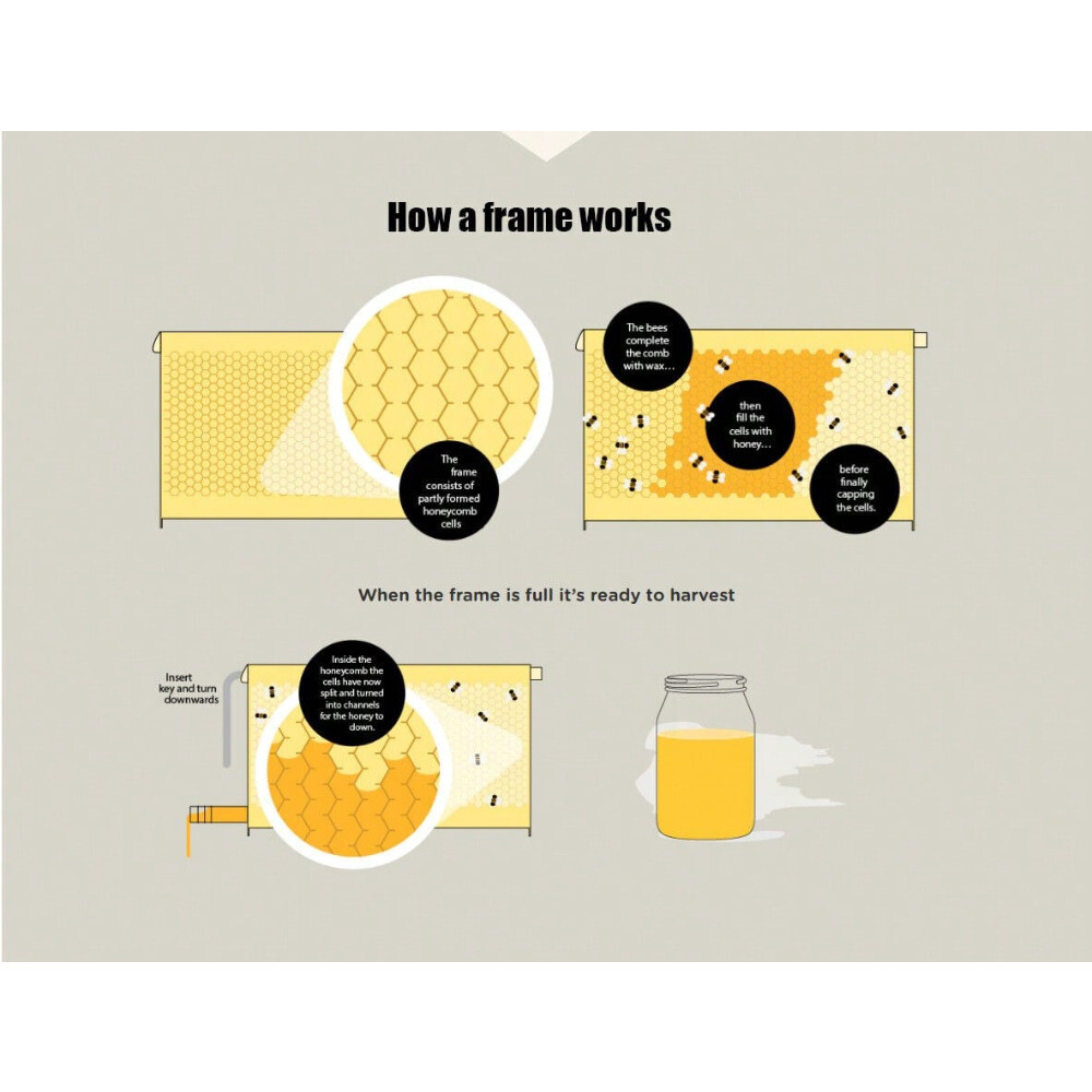 Auto Beehive 7 Frames Complete Box Kit Bee Hives Bee Frames + Beekeeping Hive