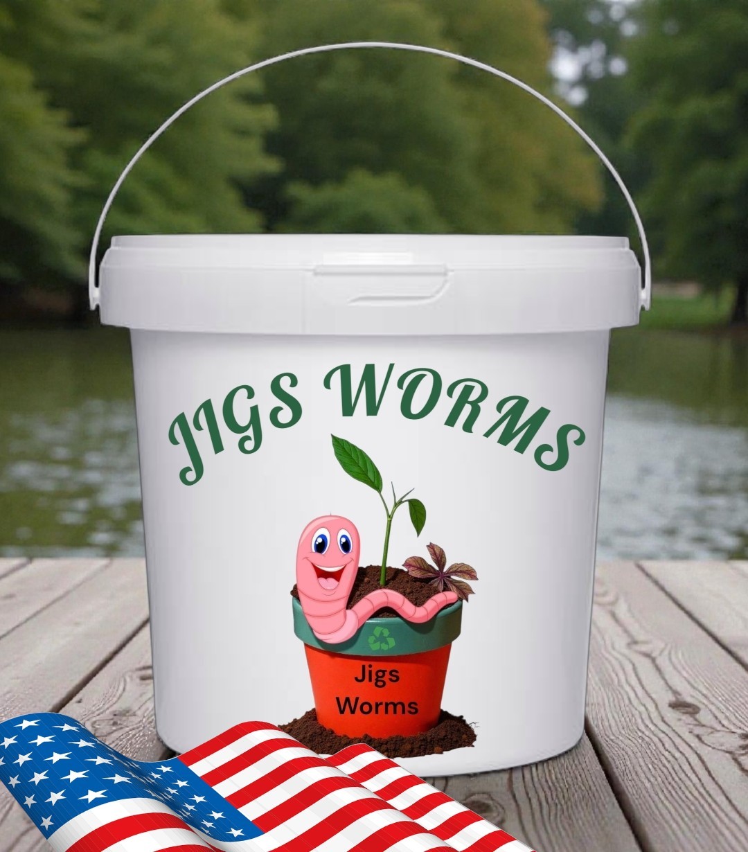 (JIGS) LIVE Red Wiggler Composting Worm Mix Approx 1,000 (1 LB) Voracious Eaters
