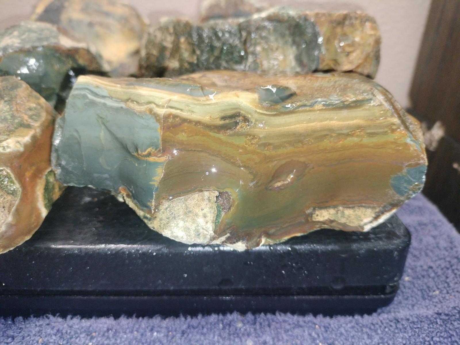 8.7LB ORBS Blue Mountain Picture Jasper Rough 6pc Lot #27