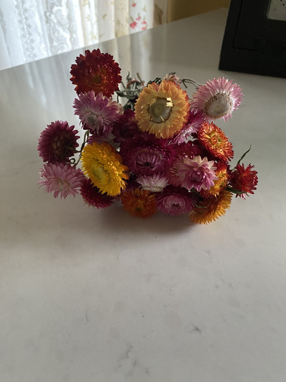 Beautiful STRAWFLOWERS Mix Assorted Bunch BOUQUET Bundle DRIED Flowers USA Auc#1