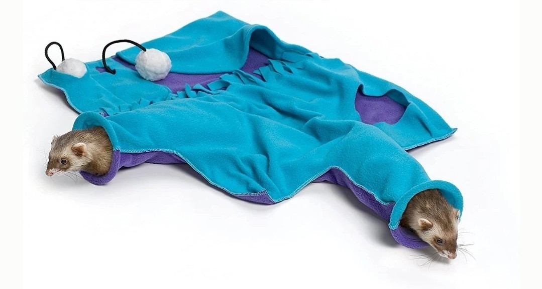 Ferret Toy