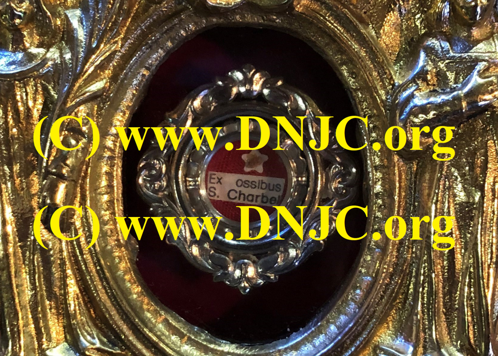 Saint Charbel Holy Relic Oil Pack (Touched to bones of St Charbel)