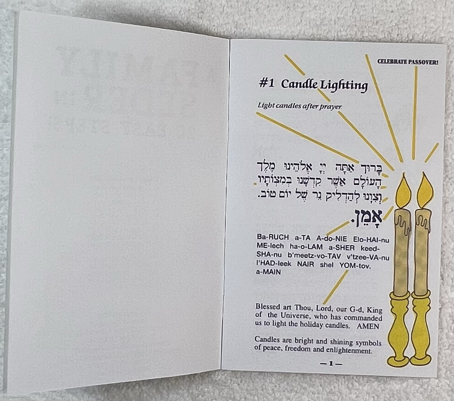 A Family Seder in 20 EASY Steps! Haggadah f/ Passover in a modern way-Lot of 10