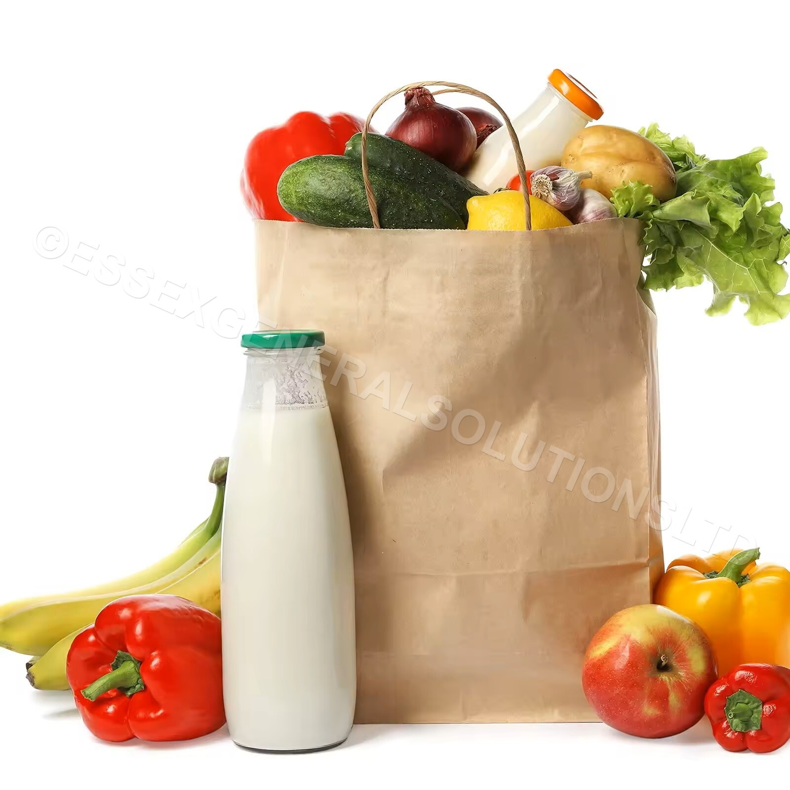 Twisted Handle Paper Bags Brown & White For Party Gift Carrier ECO Friendly Bags