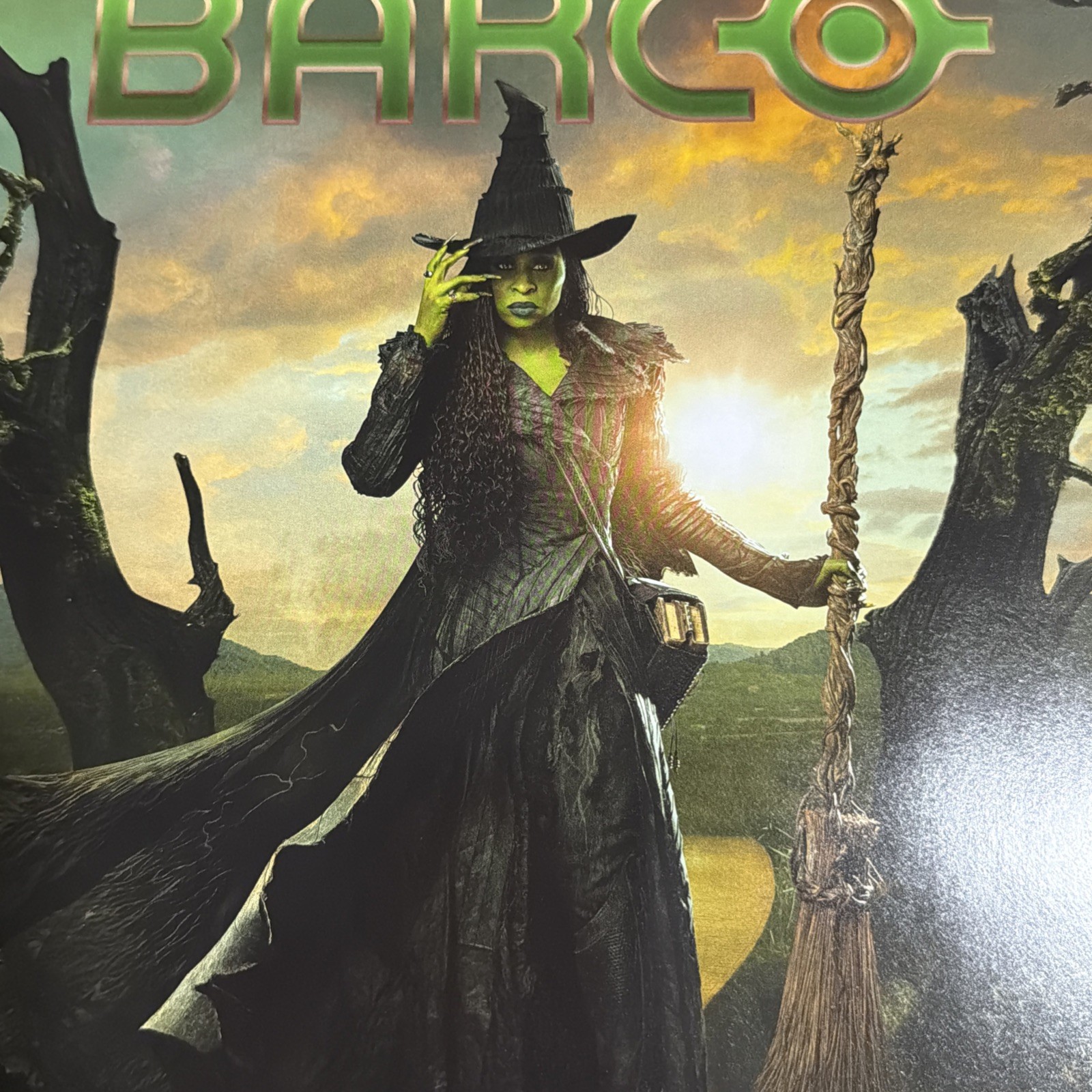 Wicked & Wicked For Good Movie Glinda Regal Exclusive 12x18 Poster Print #983