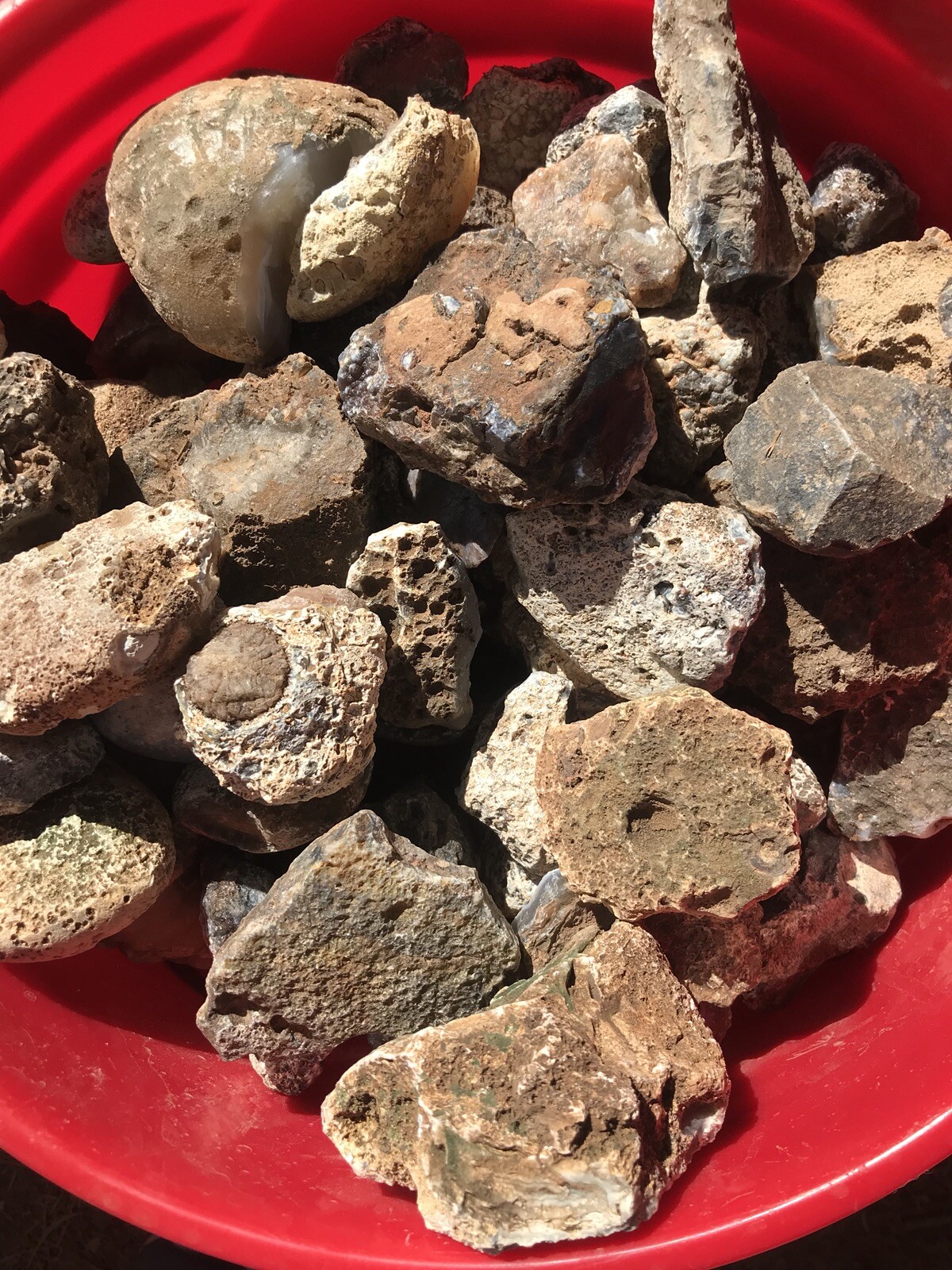 Colorful Agates From o6 Kokernot West Texas Ranch: Agate Rough Lapidary Rock