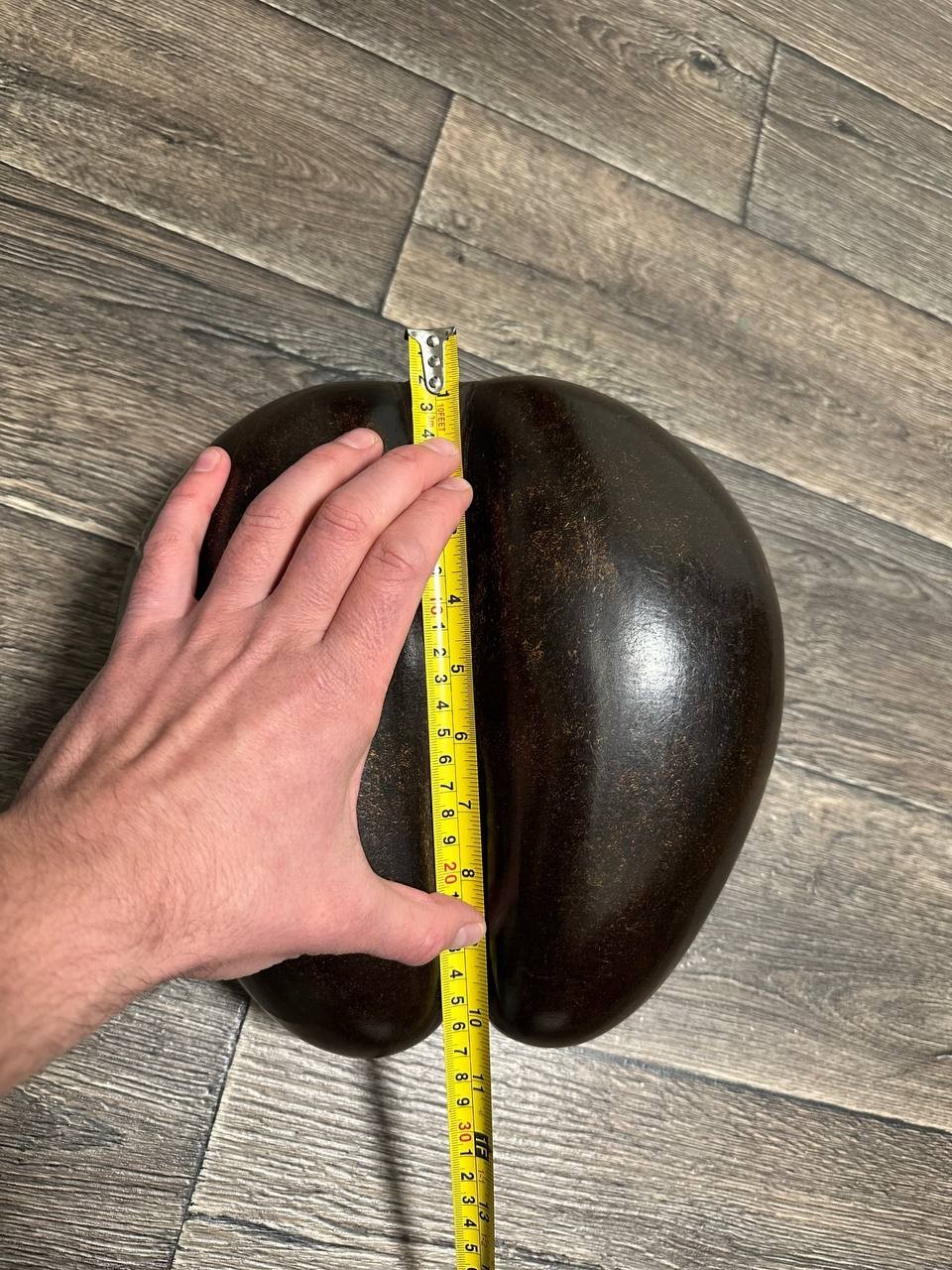 Antique Coco De Mer Nut Seed Basket