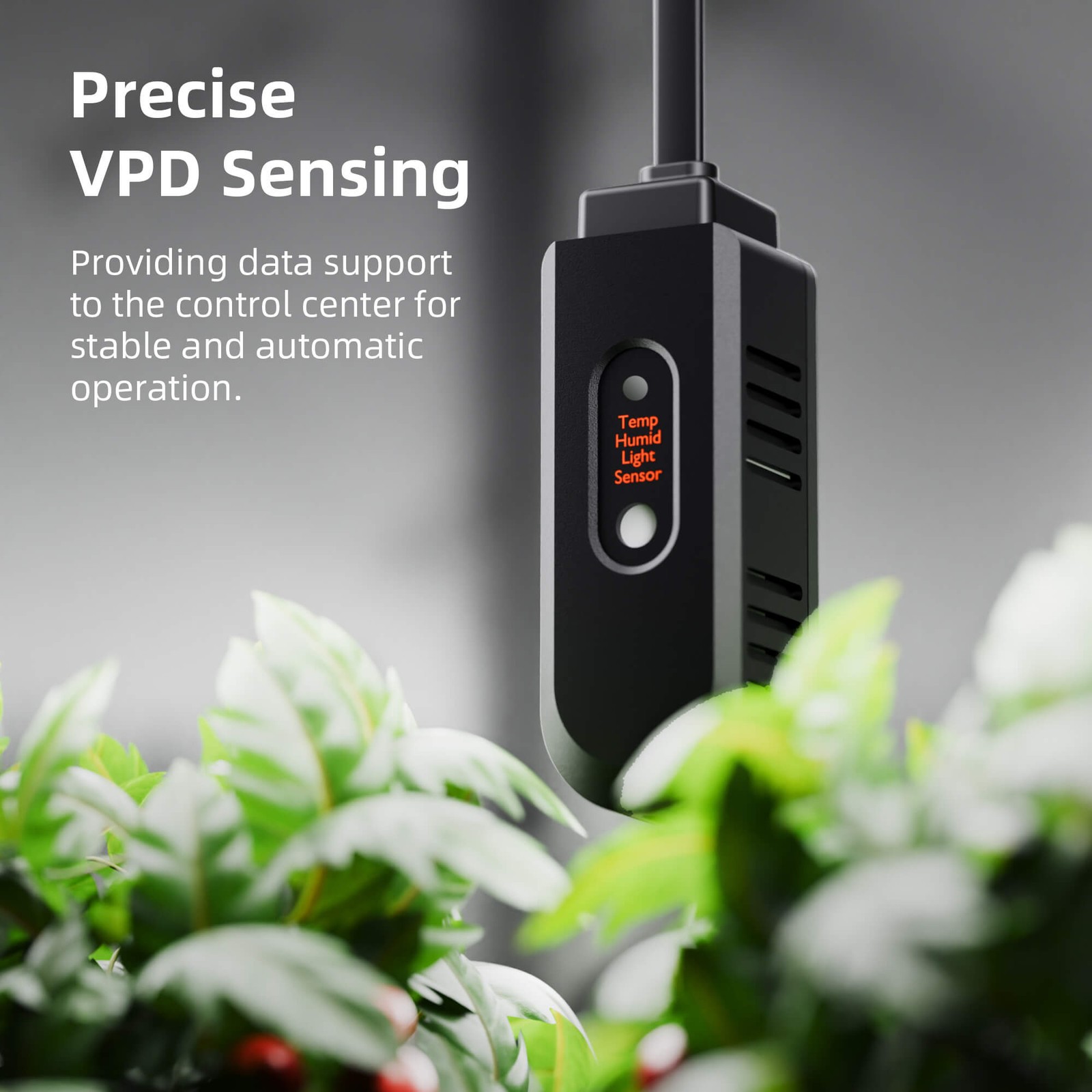 Spider Farmer Smart Grow Tent Kit w/SF1000EVO LED 2x2ft Grow Tent W/GGS Wifi