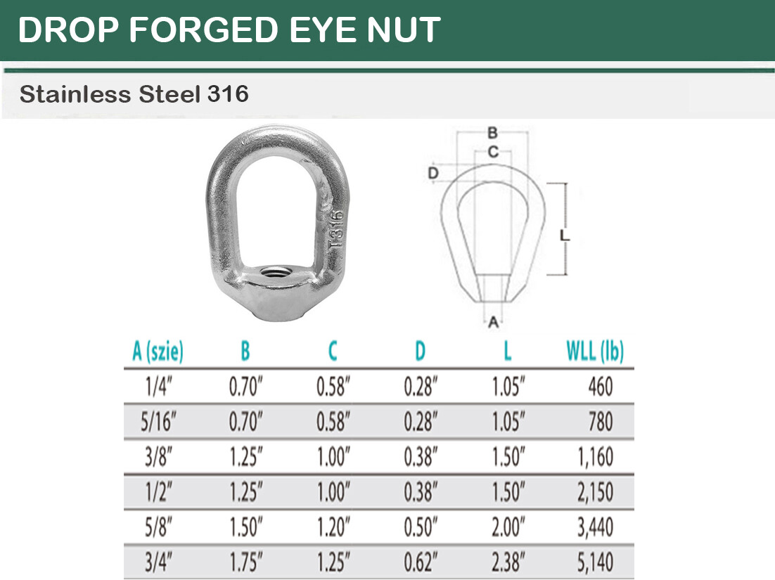 SS T316 Forged Style Lifting Eye Nut 1/4", 5/16", 3/8", 1/2", 5/8", 3/4"