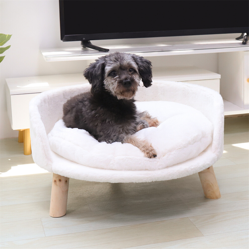 Modern Pet Sofa Low Back Lounging Bed With Removable Cushion Pillow For Dog Cat