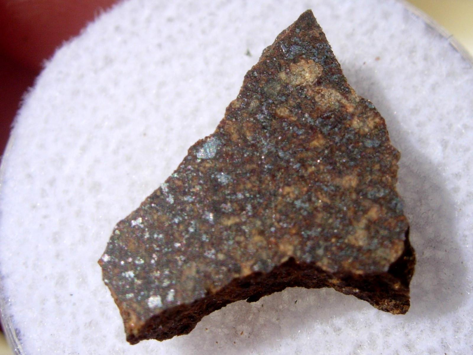 1.48 grams Sahara 99176 Meteorite cut fragment - found in 1999 with a COA