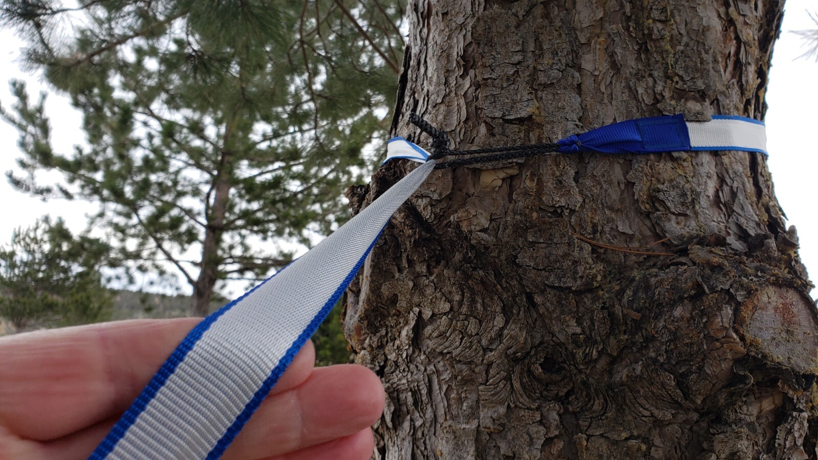 Hammock suspension straps hybrid polyester/dyneema full kit 2024