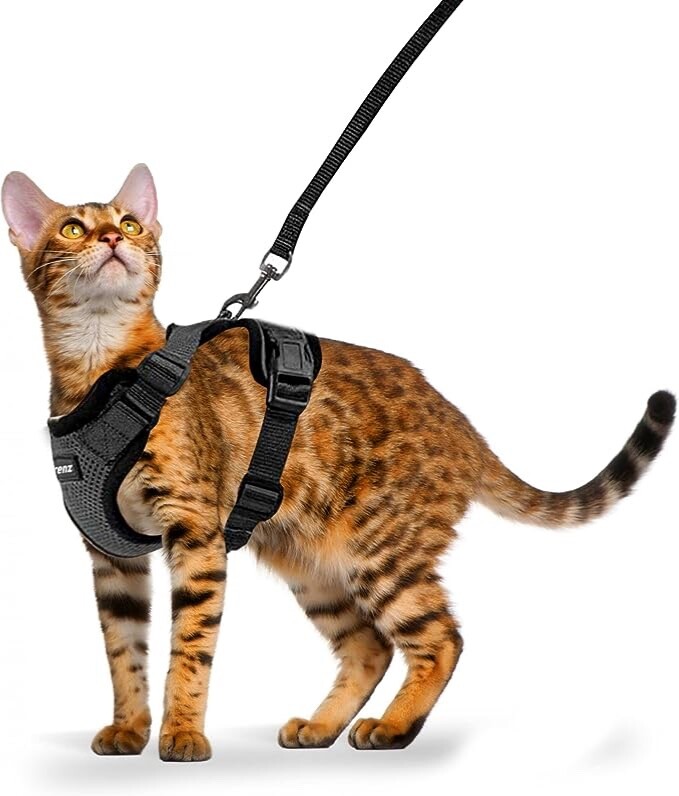 FurryFrenz Cat Harness and Leashet for Walking | Breathable Sz: S Black