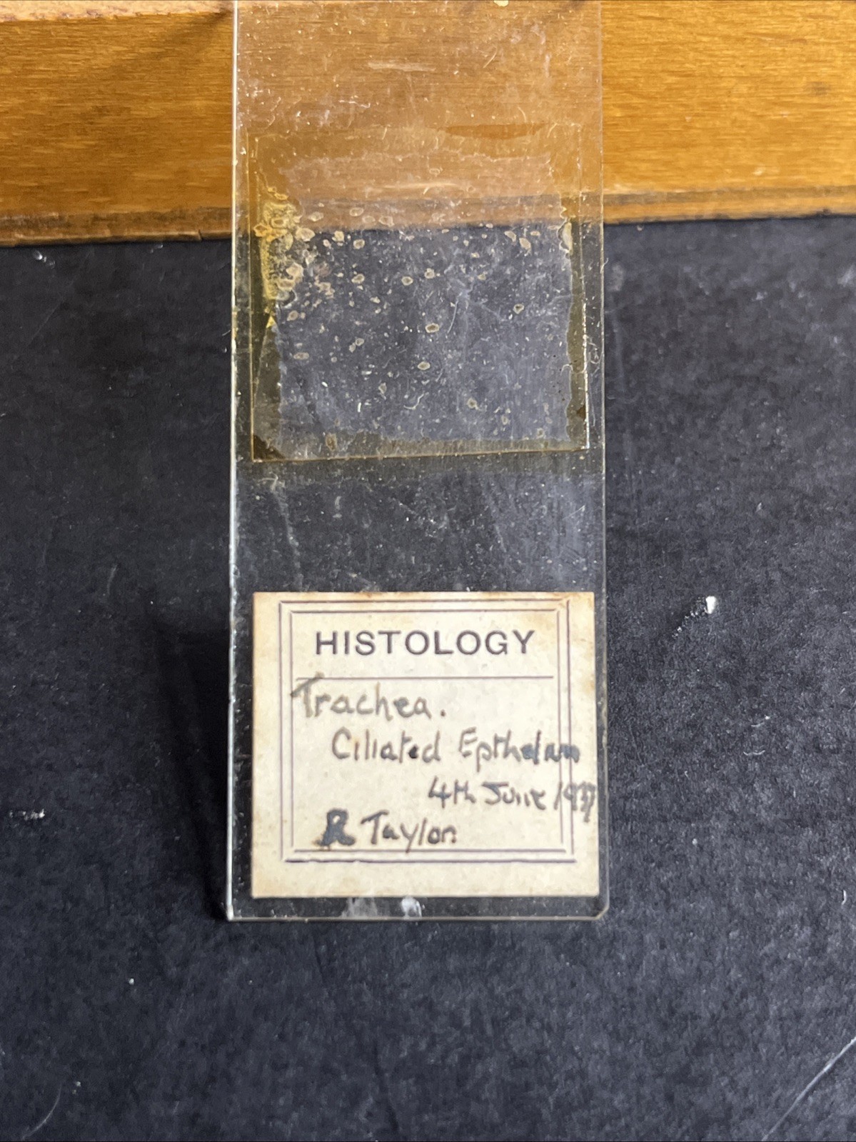 Antique 1936 University of Edinburgh Histology Microscope Slide Set Case 83