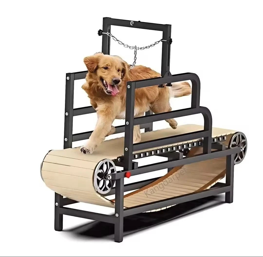 Dog Treadmill for Large Dogs, Medium Pet Slatmill for Indoor Exercise Training