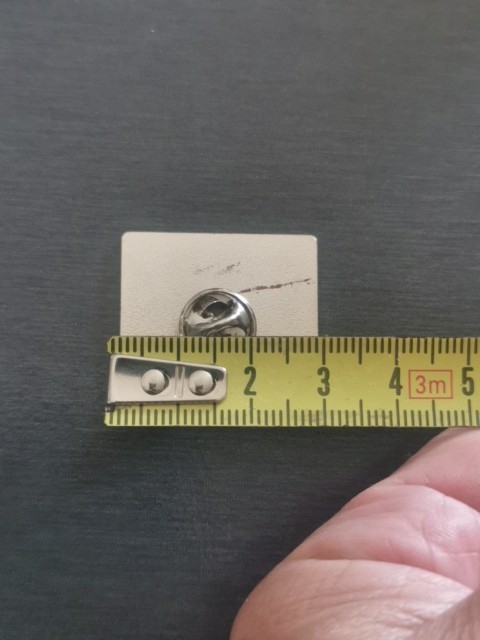 CCCP USSR LENIN STALIN COMMUNIST PARTY LENIN STALIN USSR Pin Badge New