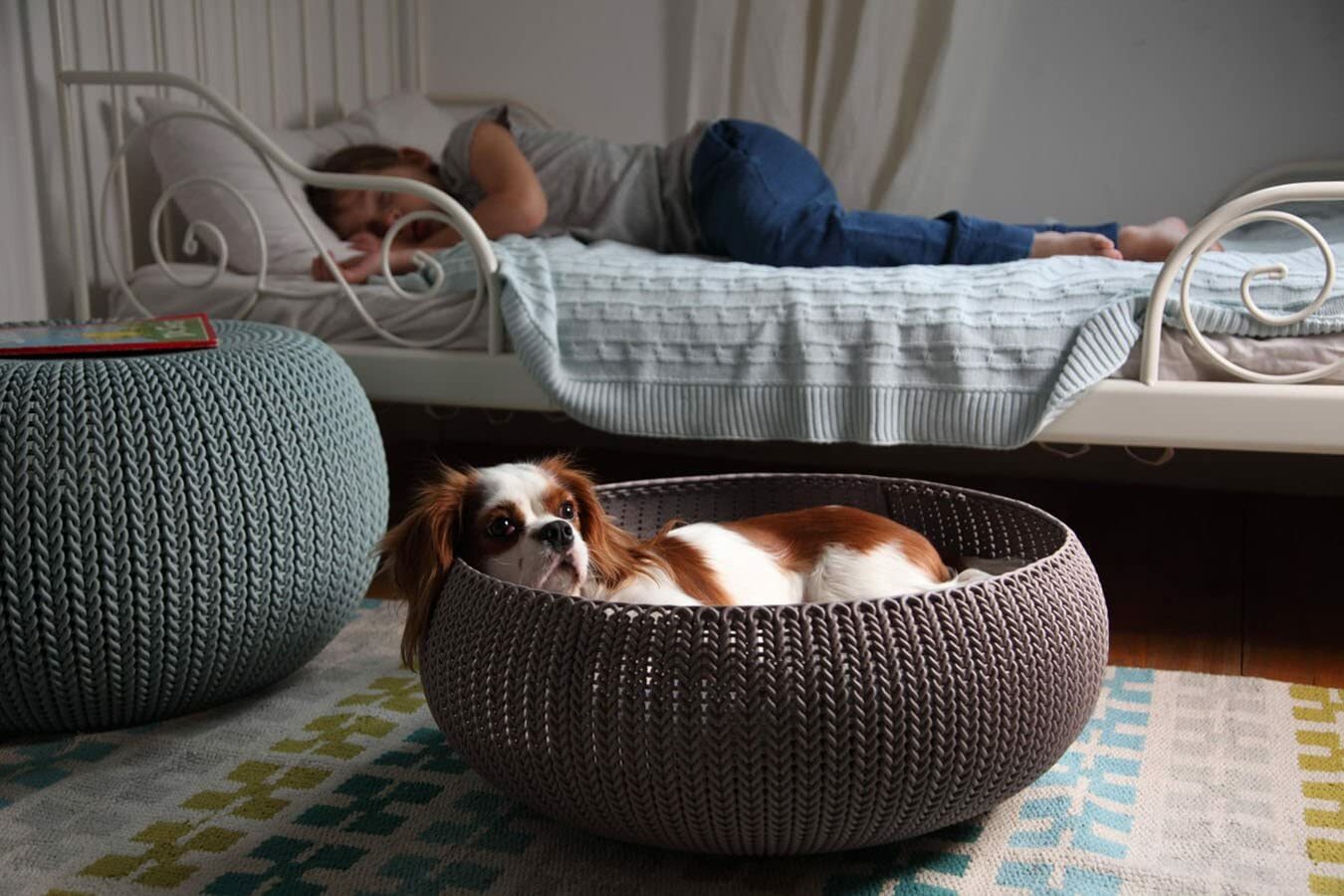 Keter by Curver Knit Cozy Resin Plastic Pet Bed, Cat Bed & Dog Bed with Cushion,