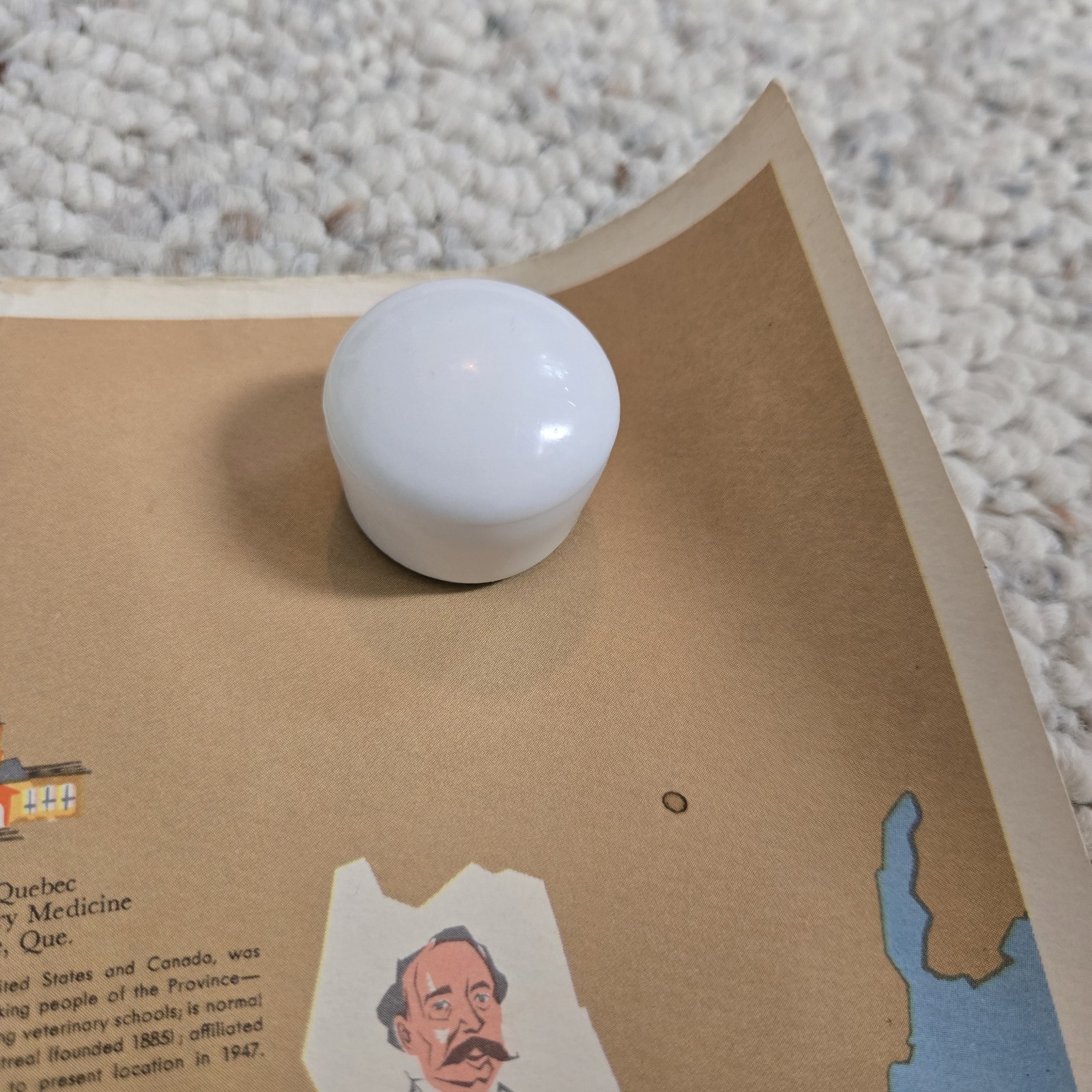 1960 Veterinary Medicine In America Poster History Map Unframed Vtg Vet Wall Art