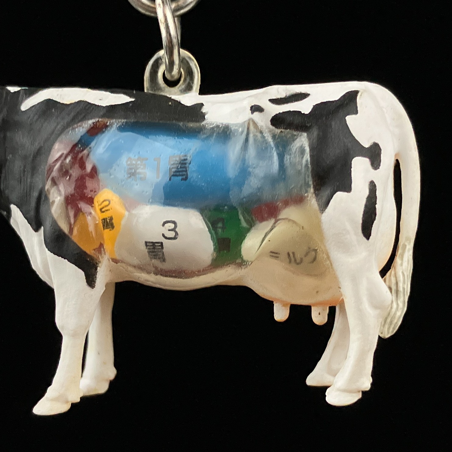 Takara Tomy Yujin Cow Anatomy Fully Visible Edible Animals Strap Keychain Figure