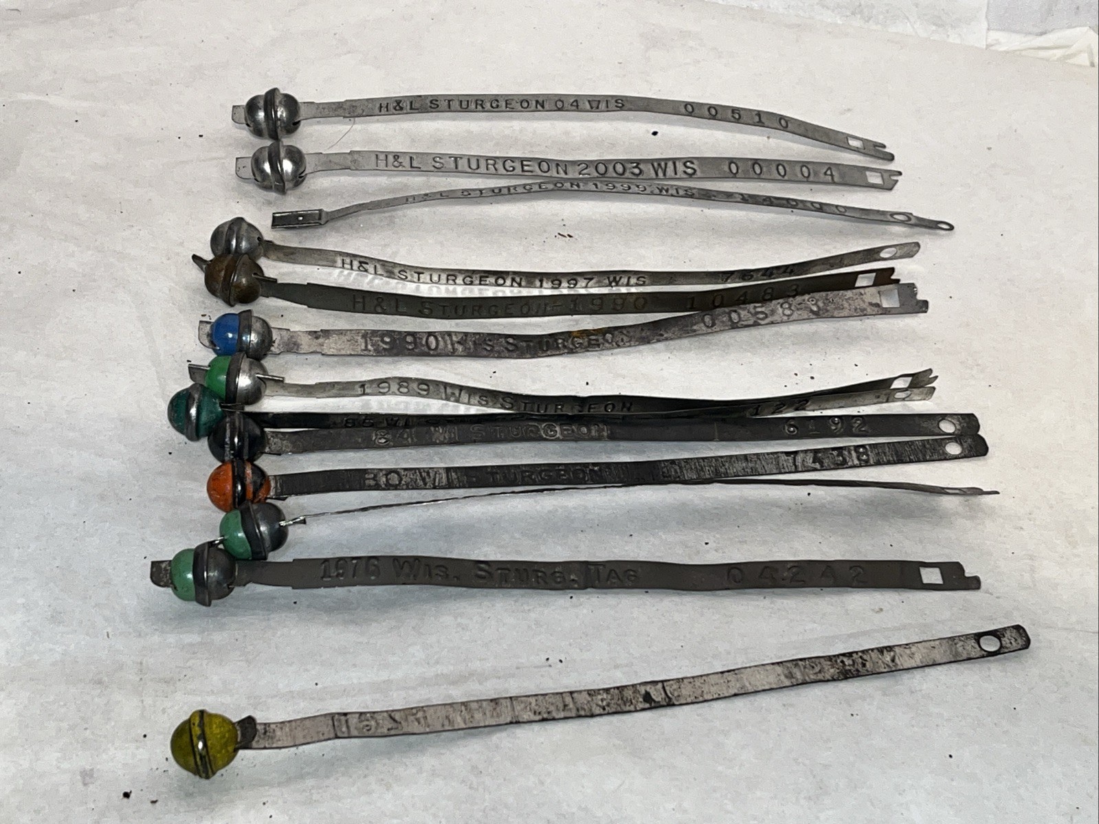 Wisconsin Sturgeon Tag Bundle 1974-2004 Fishing License Lot