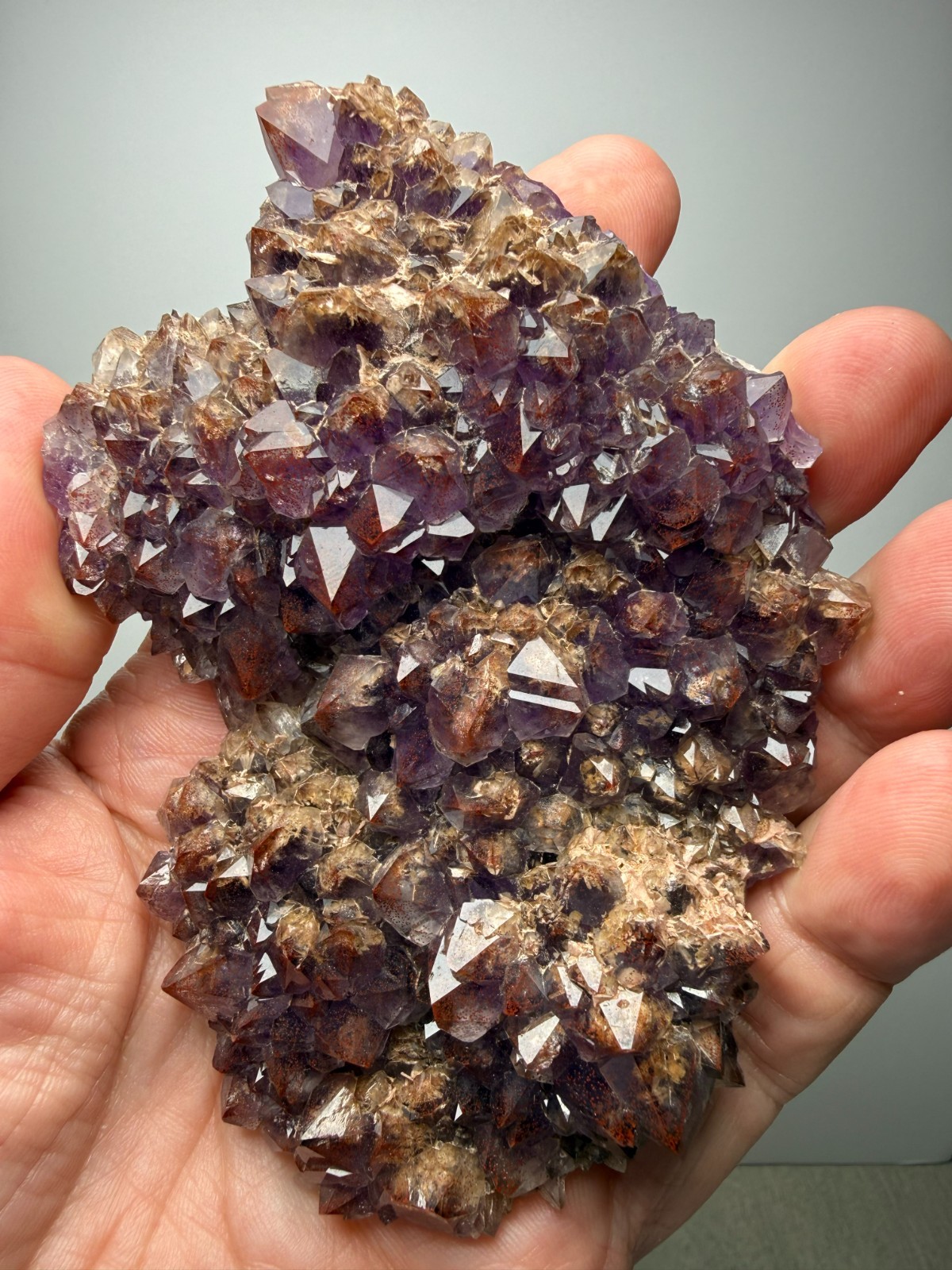 COLLECTORS!! Hematite included Amethyst plate - Blue Point Mine- Thunder Bay, CA