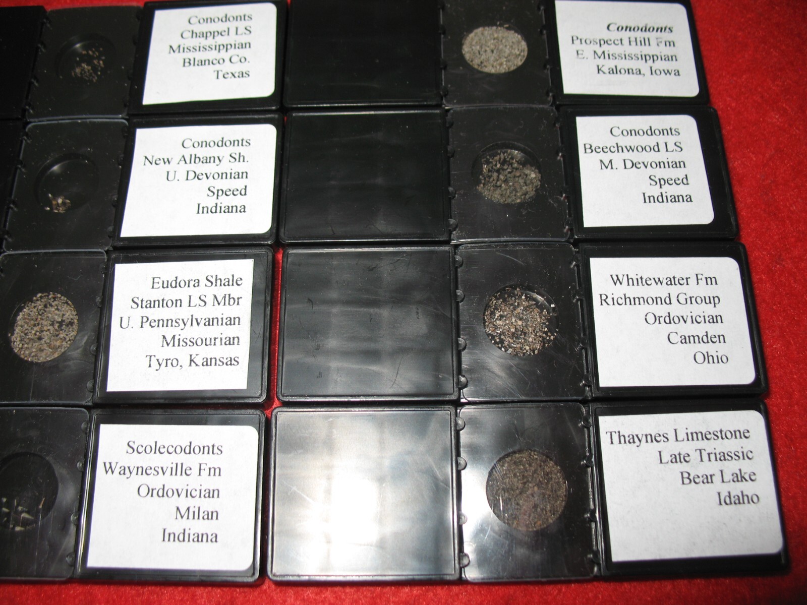 Ordovician to Triassic Conodont microfossil 8 slide collection rare fossils