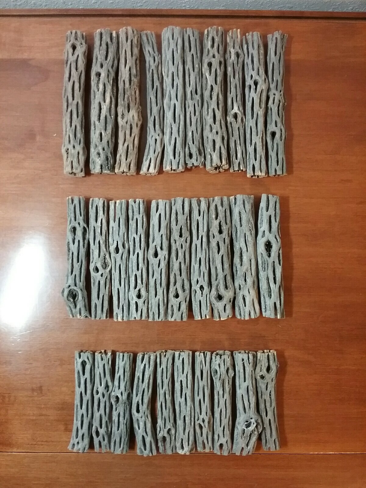 NEW 30 pcs CHOLLA Wood | 3 Sizes Multi-Pack | Organic Driftwood | Craft Aquarium