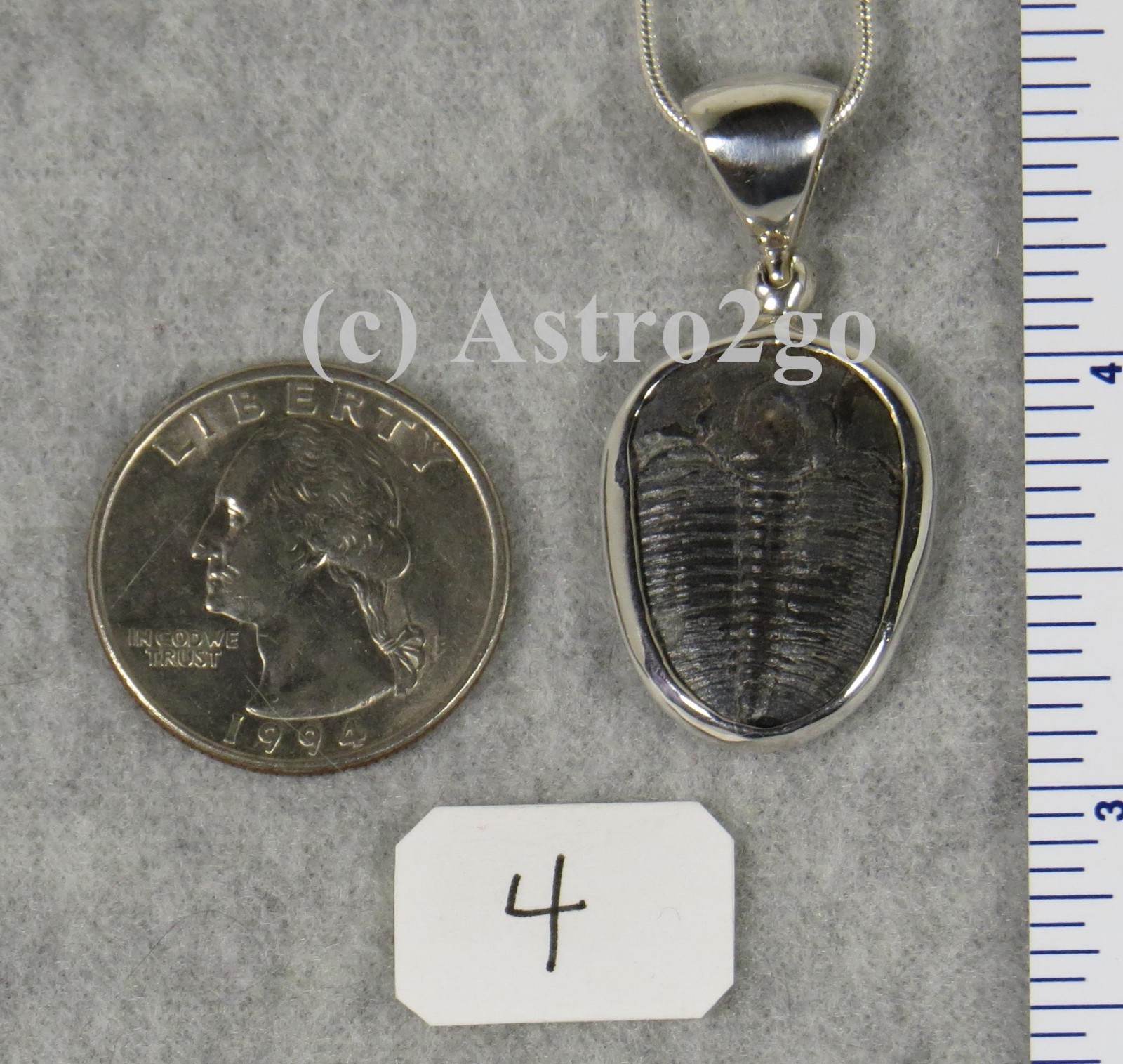 Elrathia Kingii TRILOBITE PENDANT $55 Sterling Silver Jewelry STARBORN CREATIONS