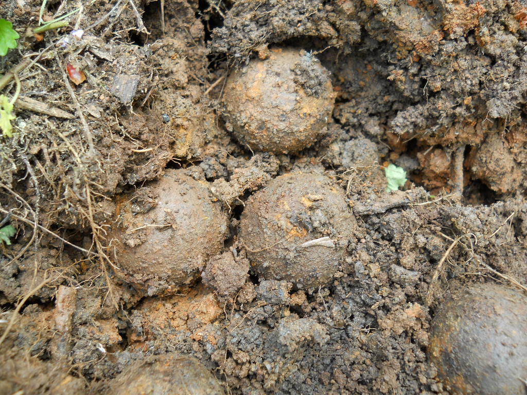 Old Rare Vintage Antique Civil War Relic Confederate Canister Shot Appomattox VA