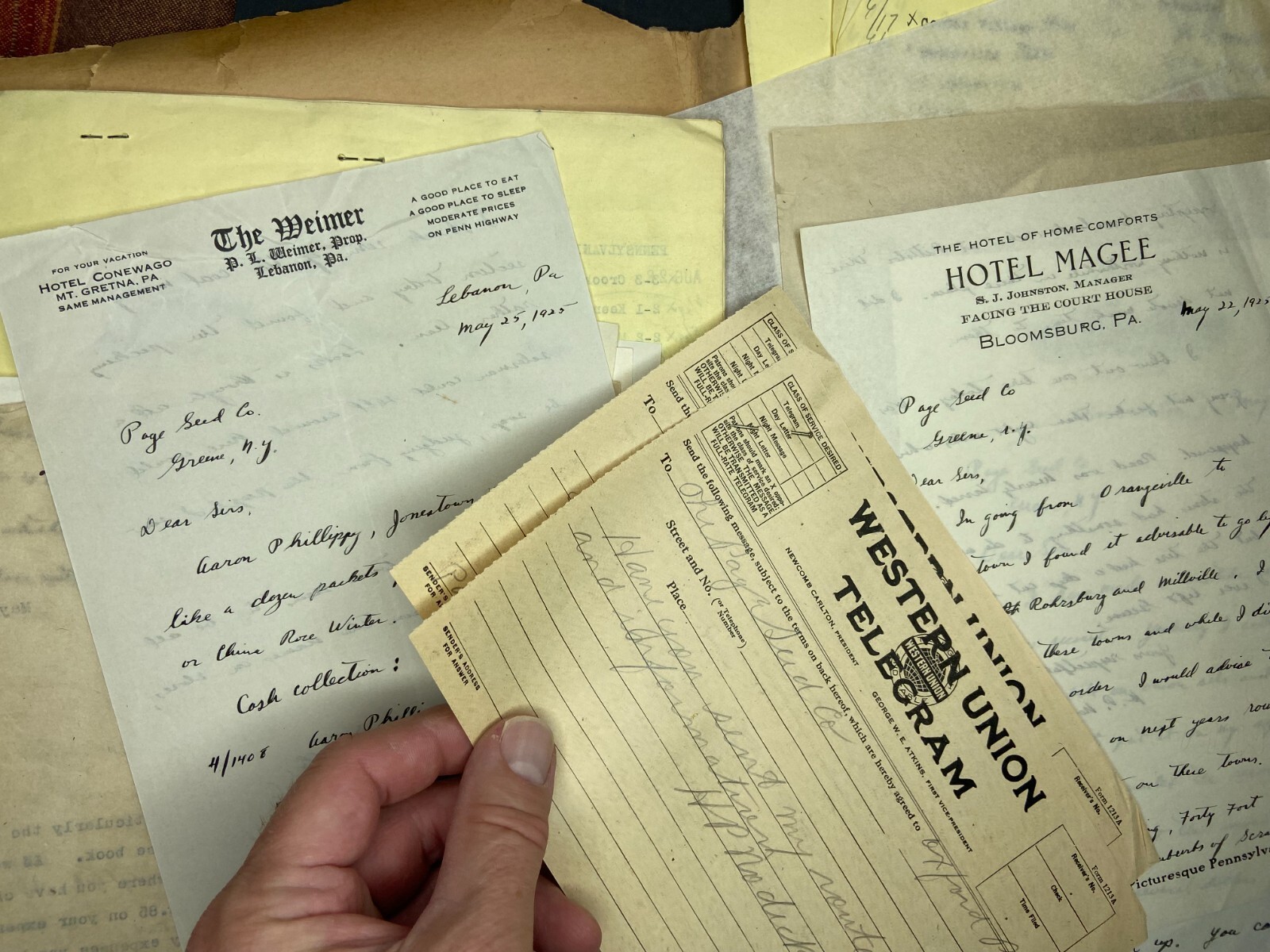 RARE Letter Archive - Traveling Salesman - Page Seed Co Greene, NY 1925 NY, PA,