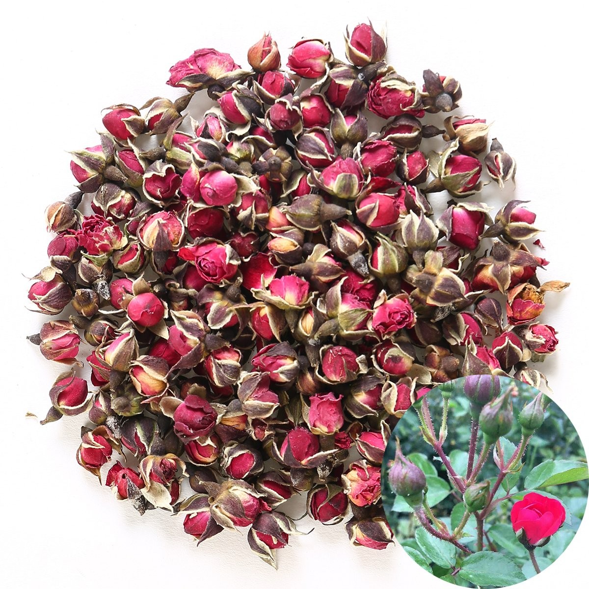 TooGet Fragrant Natural Deep Red Rose Buds Petals Organic Dried Golden-Rim Rose