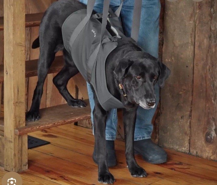 Dog Lift Support Harness Sling Large 50-75 LBS Orvis Fleece Lined Adj Fit NEW