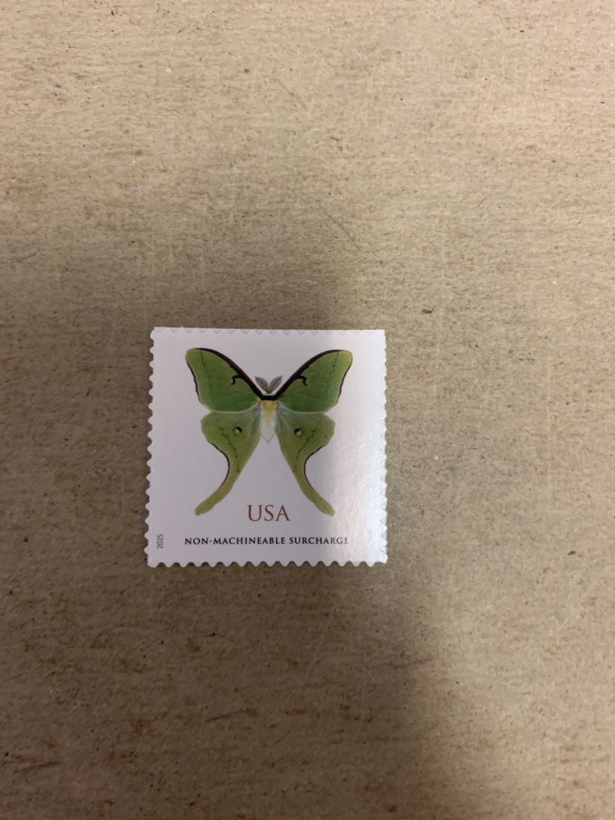US Postage #6031 Luna Moth 2025 Non-Machinable $1.27 Stamp MNH Free Shipping
