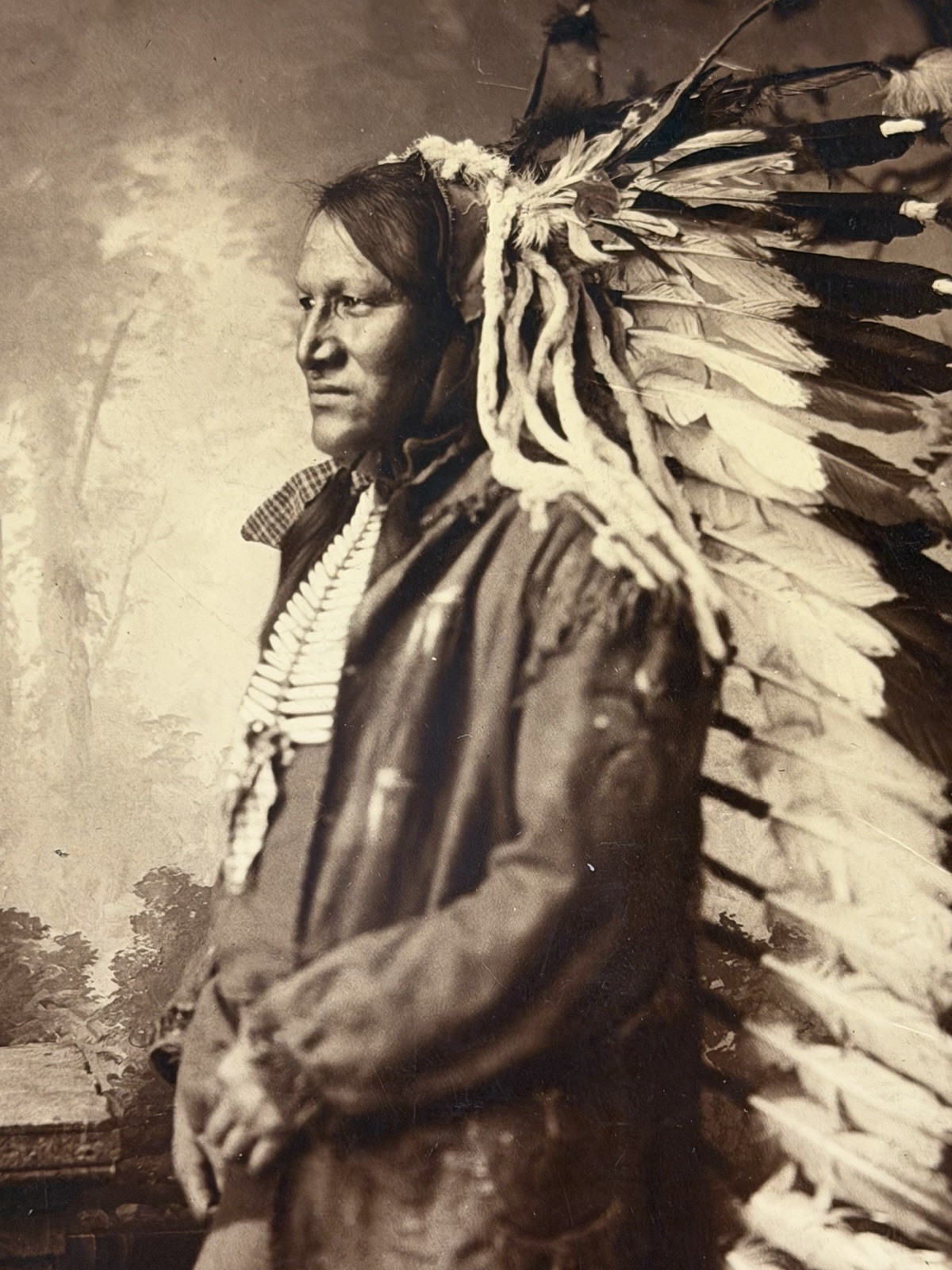 Antique Native American Indian Albumen Print "Chief John Grass" By: D. F. Barry
