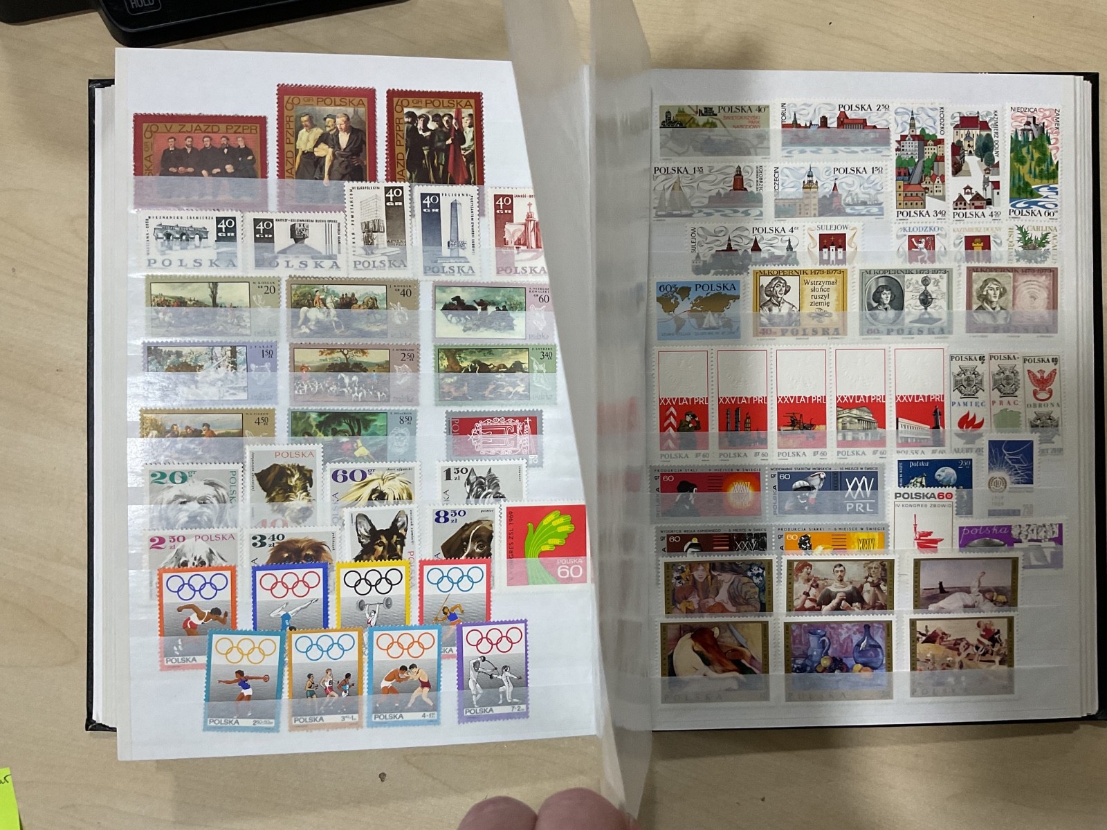 Poland stamps. Mostly mint. stock book. G/40