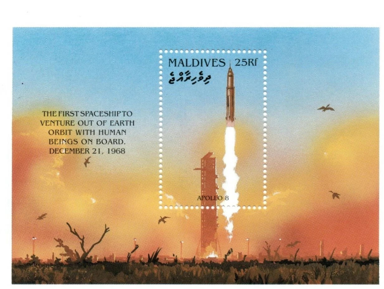 Maldives 1996 - Spaceship - Souvenir Stamp Sheet - Scott #2176 - MNH