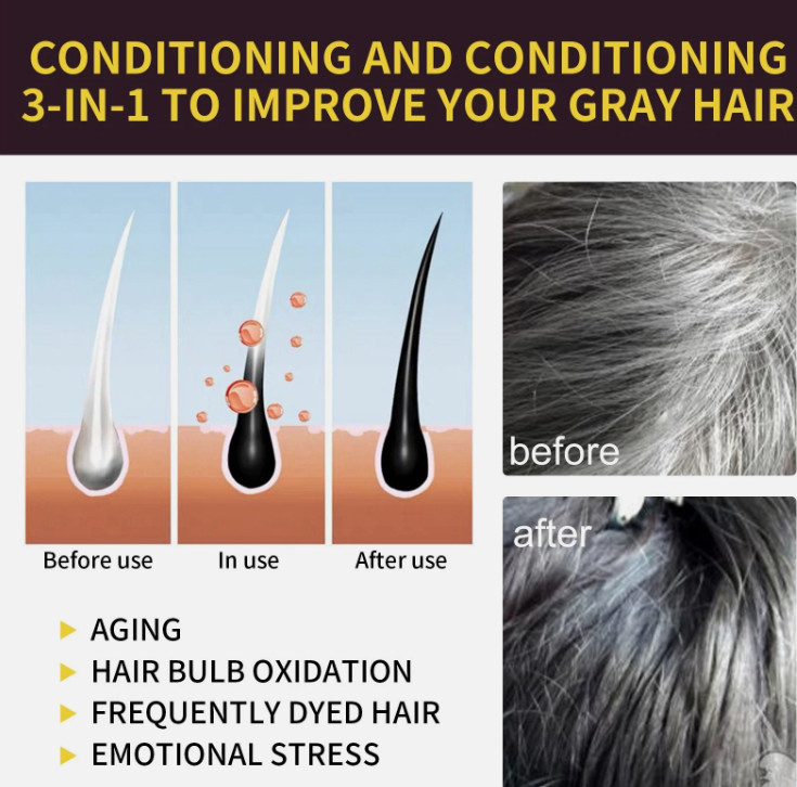 Black Hair Dye Shampoo 3 in 1 500ml Hair Color Shampoo Instant Grey Coverage